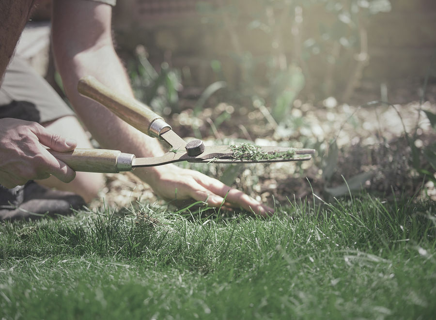 About Daniel Matuk Landscaping