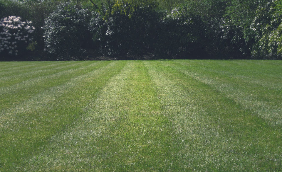 Landscaping project 2