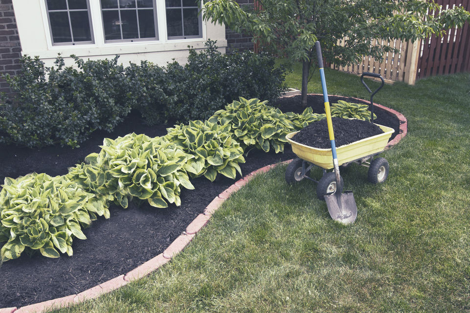 Landscaping project 3
