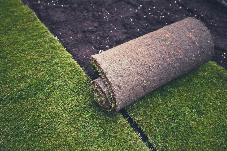 Landscaping project 4