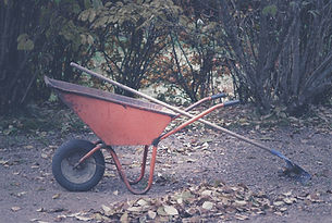 Garden Clearance