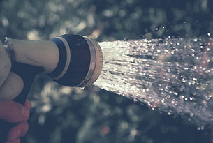 Watering