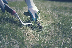 Weed Wacking